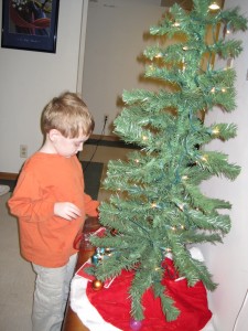 small boy and small tree