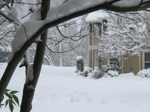 Winter in DuPont where Washington began