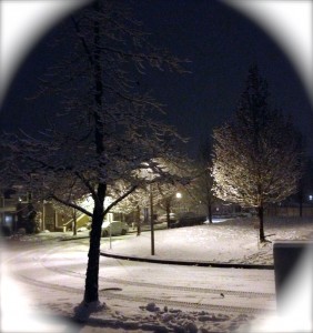 Pretty first February snow.  