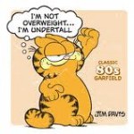 We all love Garfield, even if we can't stand him.